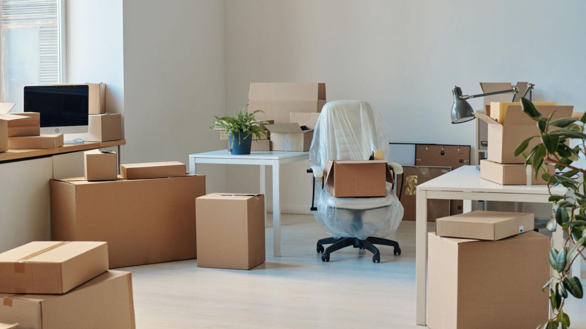 Business team reviewing office furniture equipment and inventory before relocation