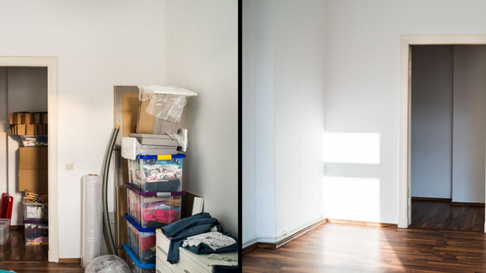 Professional team helping clear excessive household clutter