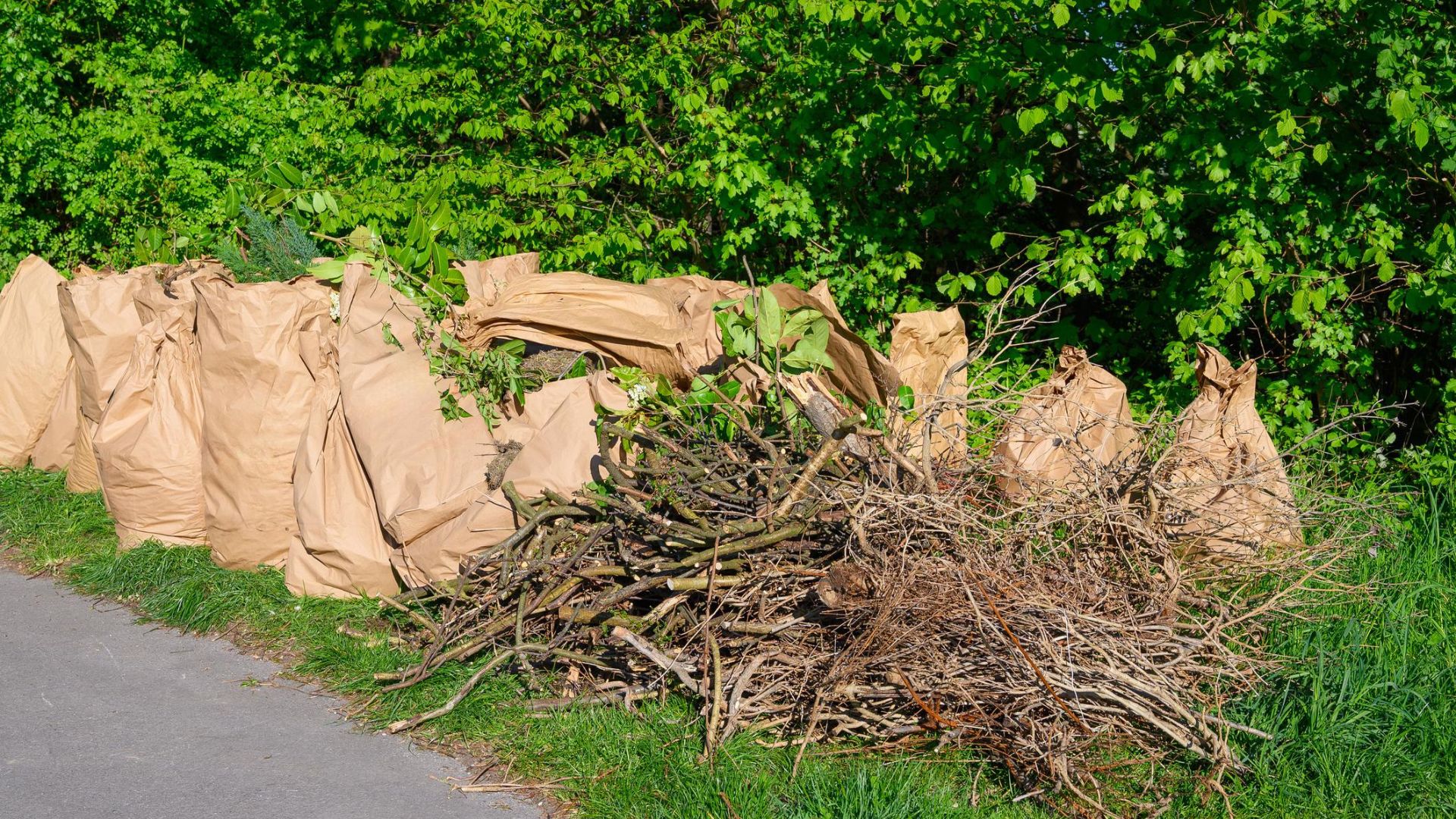 Junk items sorted into donation recycling and disposal categories